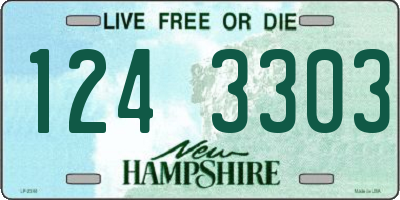 NH license plate 1243303