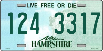 NH license plate 1243317