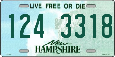 NH license plate 1243318