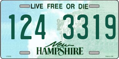 NH license plate 1243319