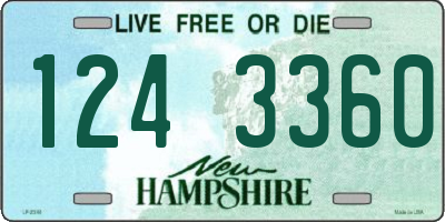NH license plate 1243360