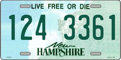 NH license plate 1243361