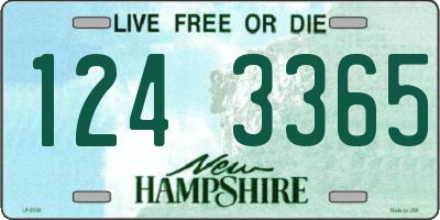 NH license plate 1243365