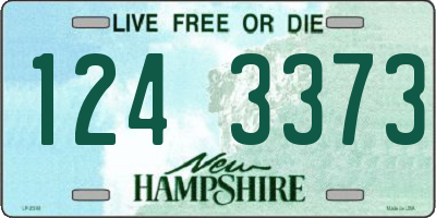 NH license plate 1243373