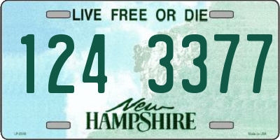 NH license plate 1243377