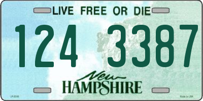 NH license plate 1243387
