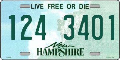 NH license plate 1243401