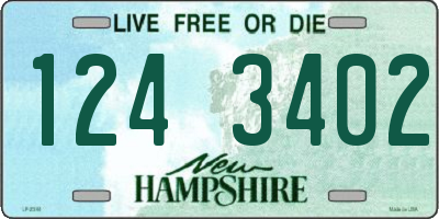 NH license plate 1243402
