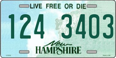 NH license plate 1243403