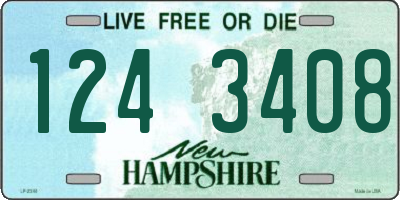 NH license plate 1243408