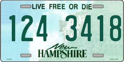 NH license plate 1243418