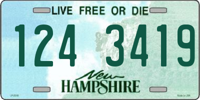 NH license plate 1243419
