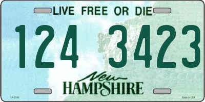NH license plate 1243423