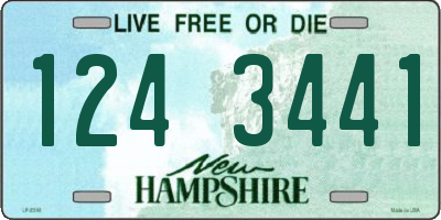 NH license plate 1243441