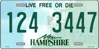 NH license plate 1243447