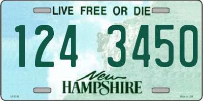 NH license plate 1243450