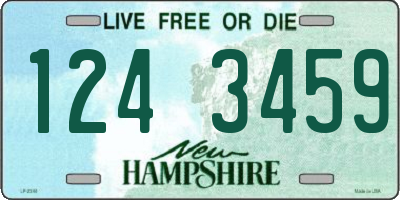 NH license plate 1243459