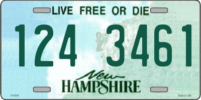 NH license plate 1243461