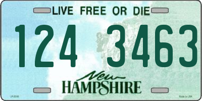 NH license plate 1243463