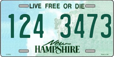 NH license plate 1243473