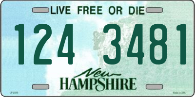 NH license plate 1243481