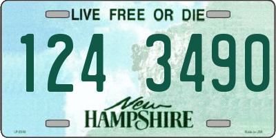 NH license plate 1243490