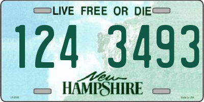 NH license plate 1243493