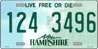 NH license plate 1243496