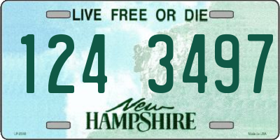 NH license plate 1243497