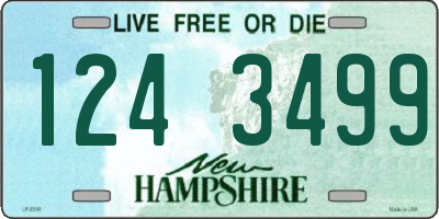 NH license plate 1243499