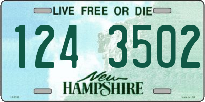 NH license plate 1243502
