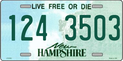 NH license plate 1243503
