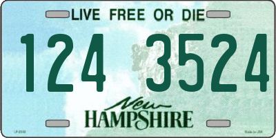 NH license plate 1243524