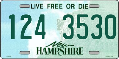 NH license plate 1243530