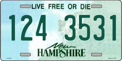 NH license plate 1243531