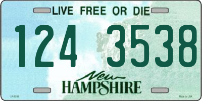 NH license plate 1243538