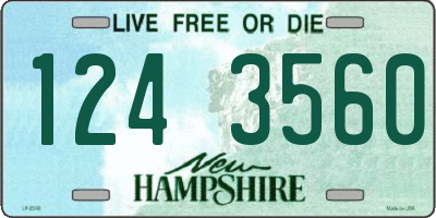 NH license plate 1243560
