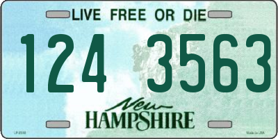 NH license plate 1243563