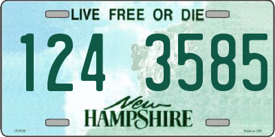 NH license plate 1243585