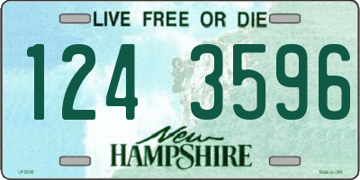 NH license plate 1243596