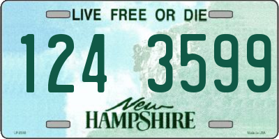 NH license plate 1243599