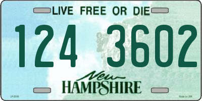 NH license plate 1243602