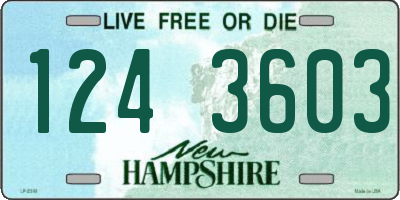NH license plate 1243603