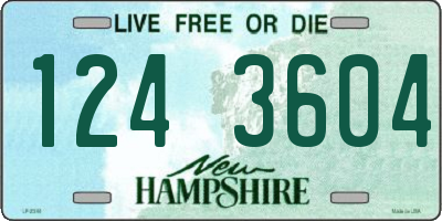 NH license plate 1243604
