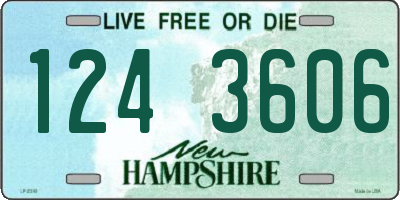 NH license plate 1243606