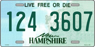 NH license plate 1243607