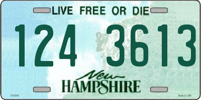 NH license plate 1243613