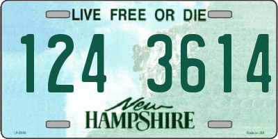 NH license plate 1243614