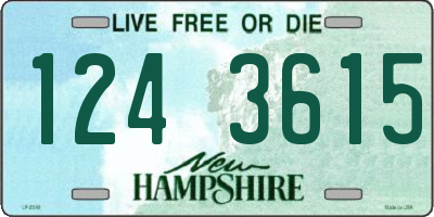 NH license plate 1243615