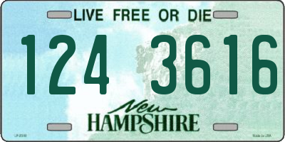 NH license plate 1243616